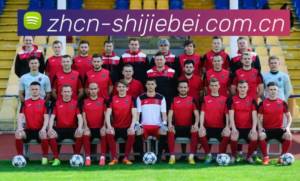 世界杯买球服务体系